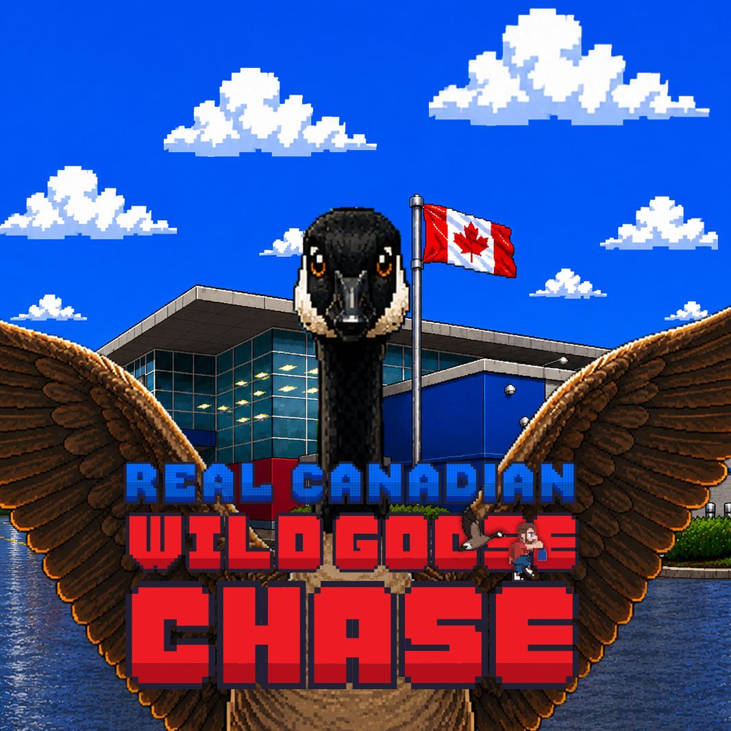 Cover image for The Wild Goose Chase