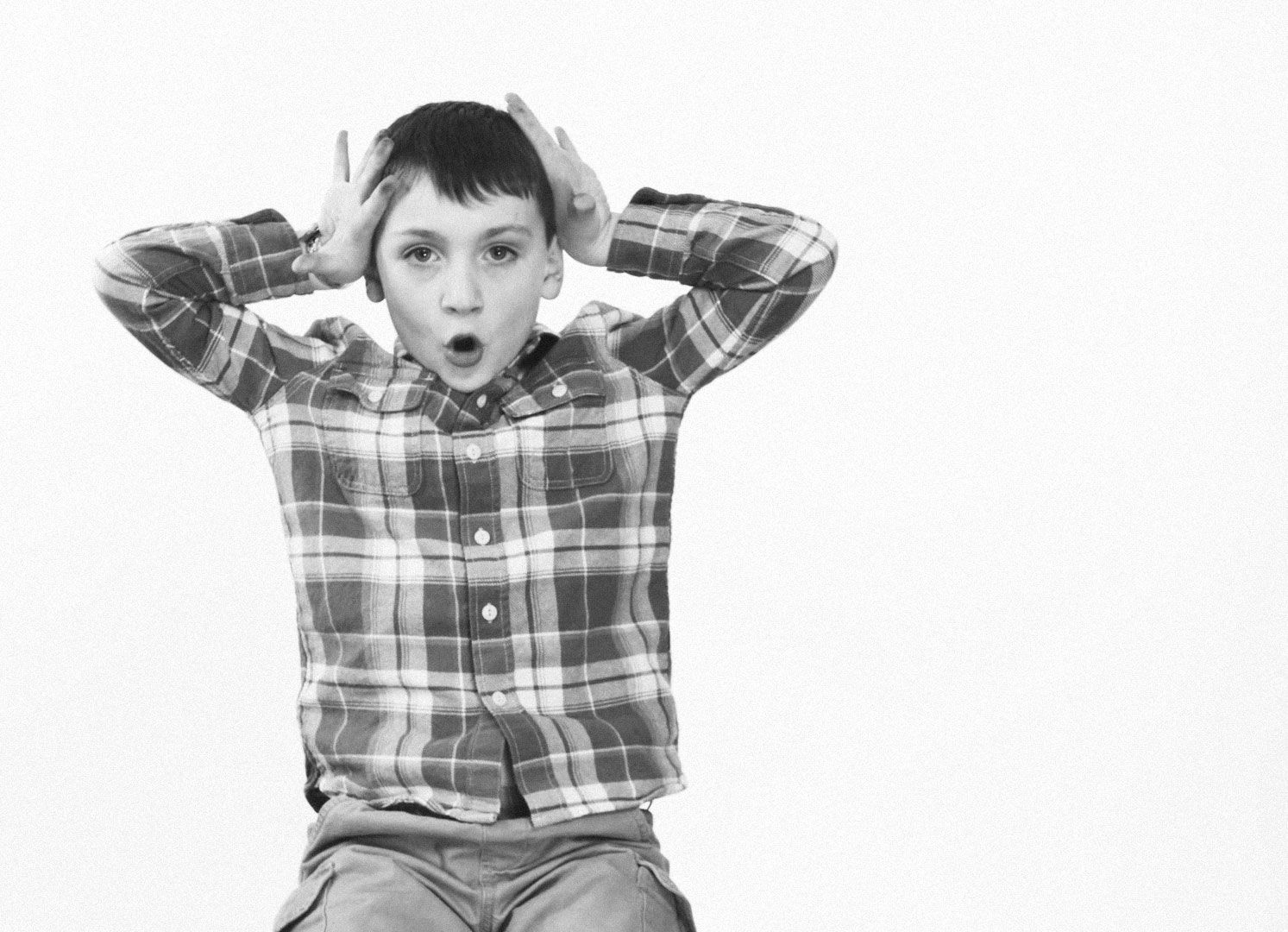 Cover image for What will you see?