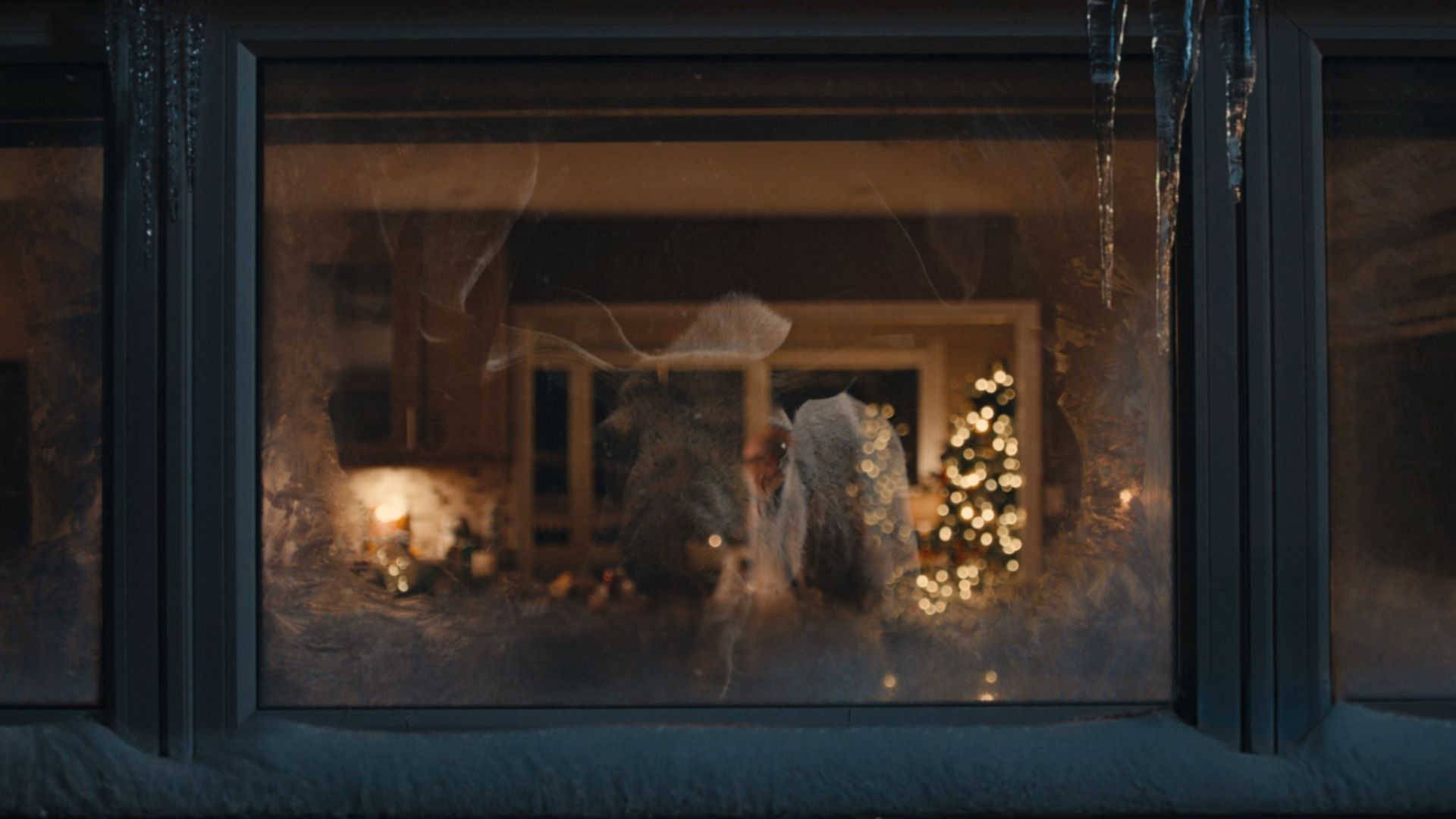 Cover image for The Invitation