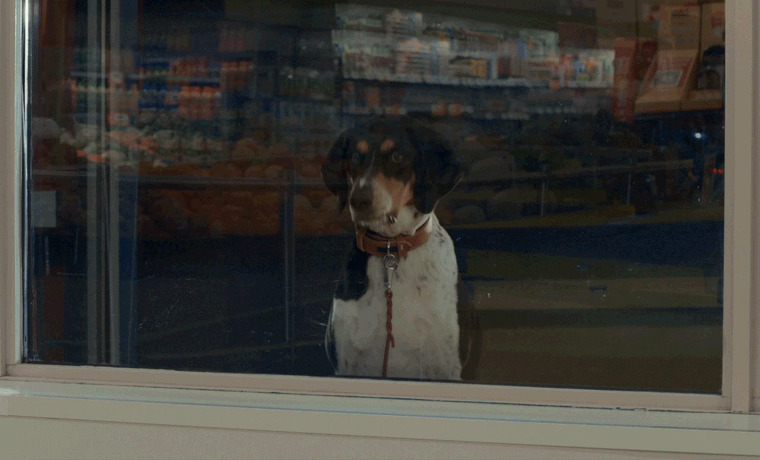 Cover image for No Frills Yes Savings