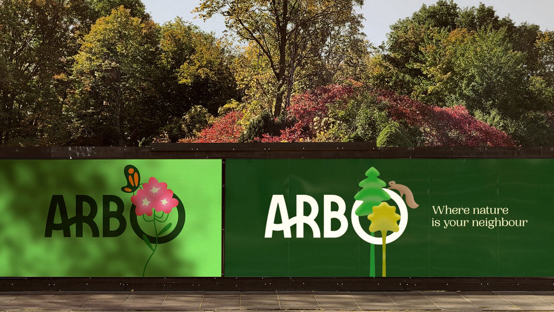 Cover image for Arbo