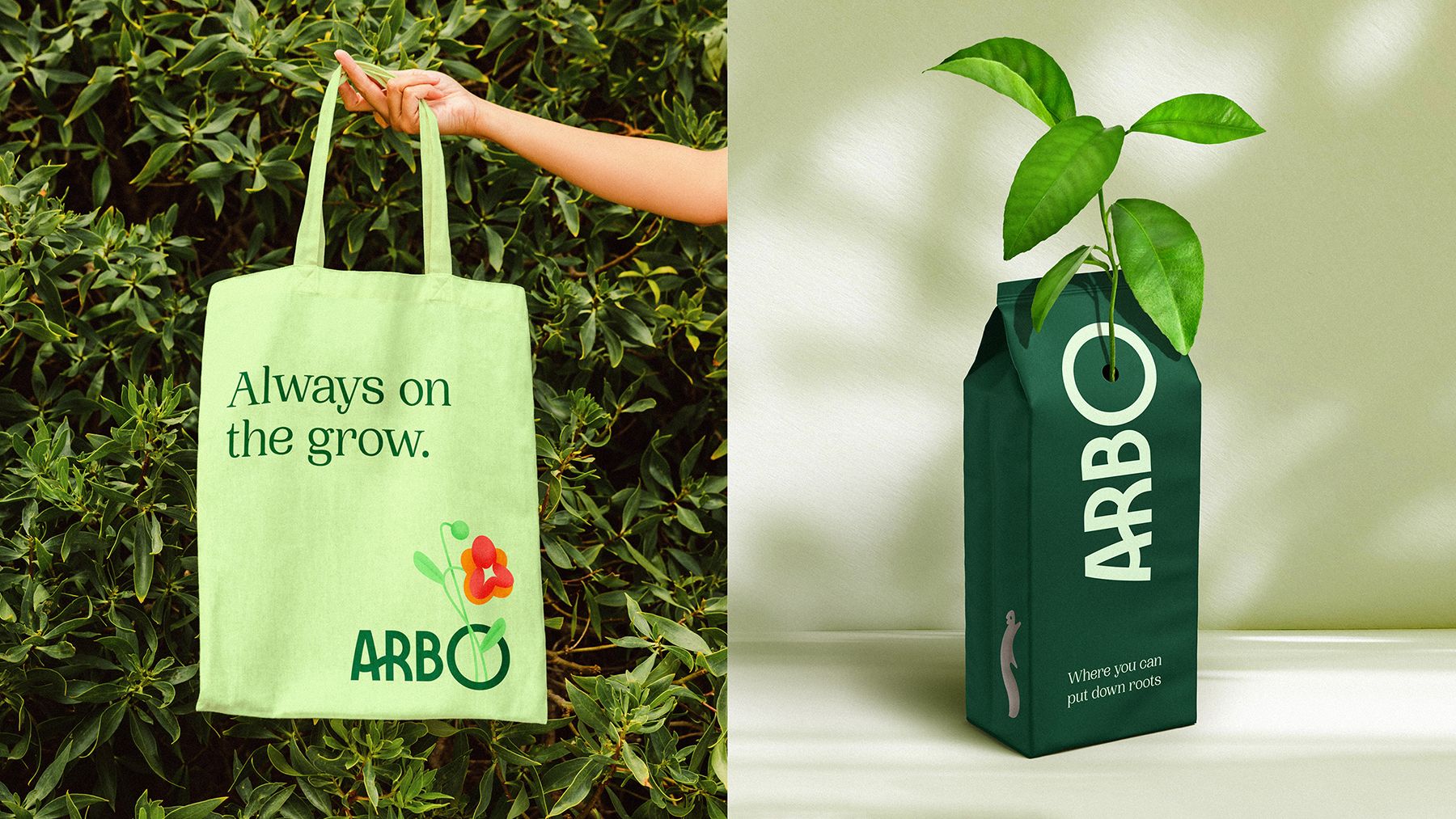 Cover image for Arbo