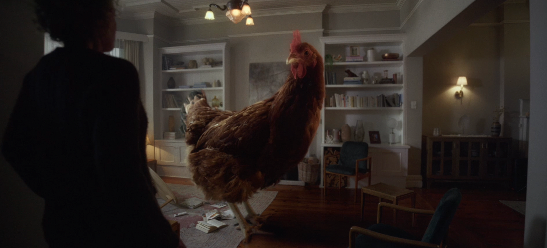 Cover image for Chickensanity