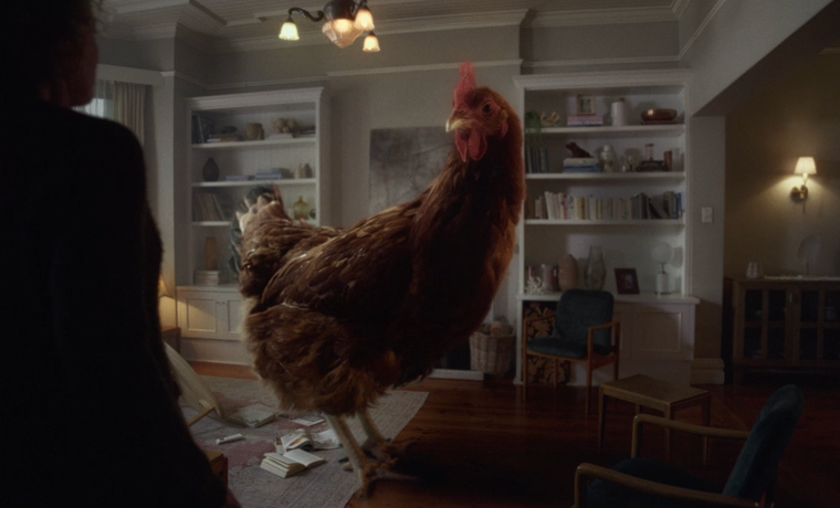 Cover image for Chickensanity