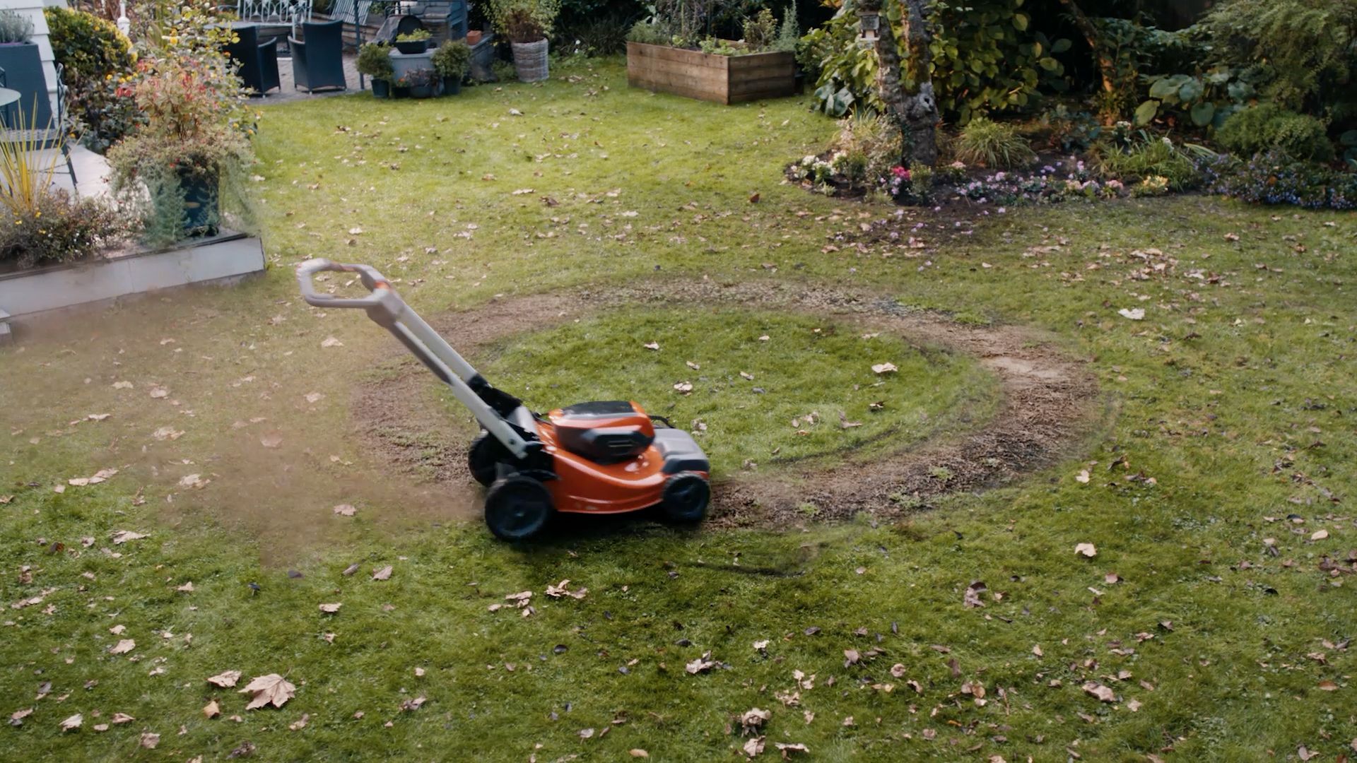 Cover image for Choretasia