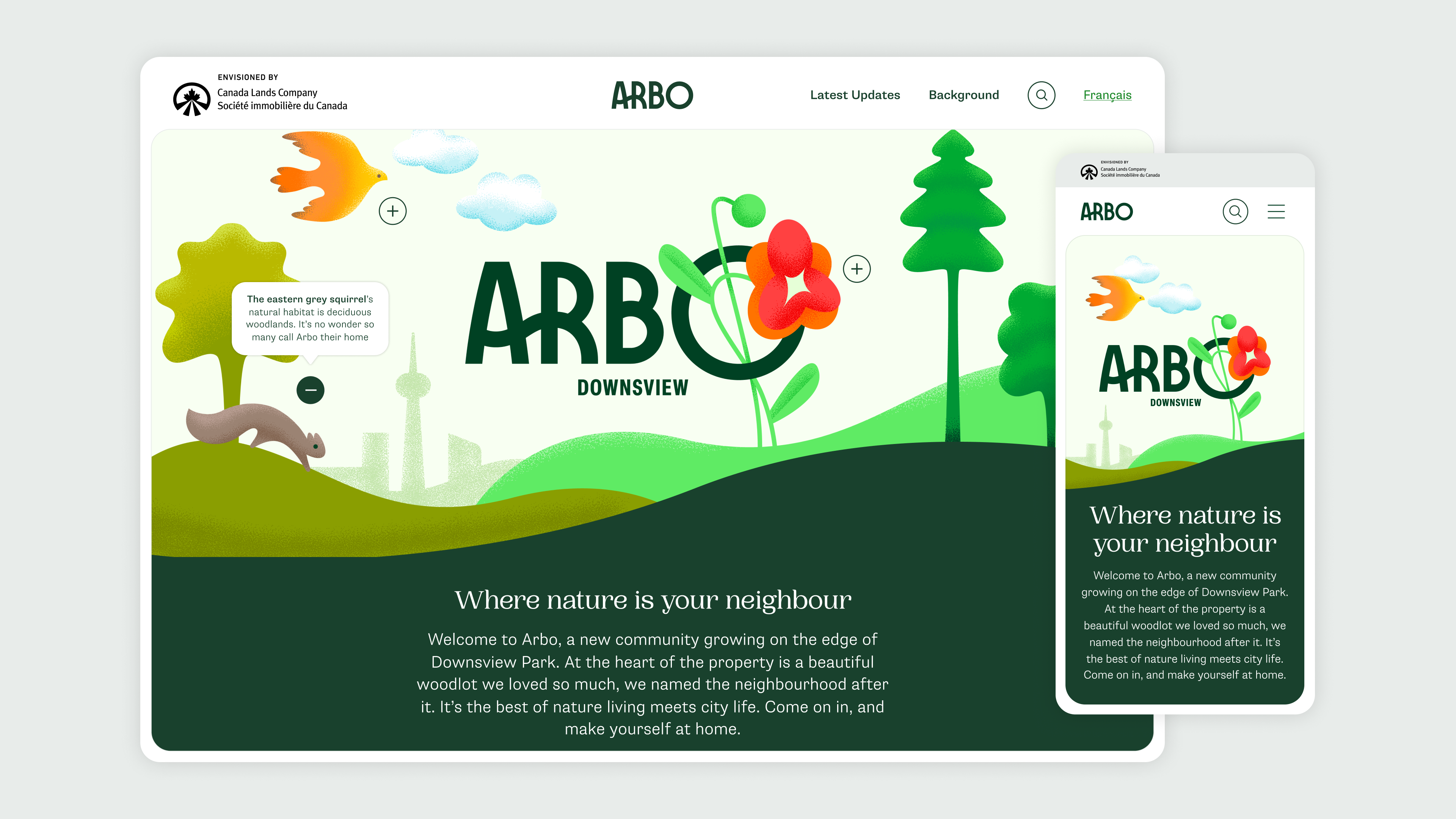 Cover image for Arbo