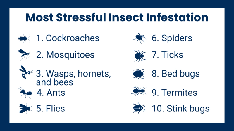Most stressful insect infestation