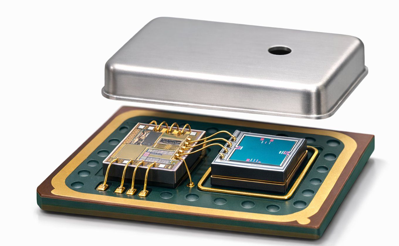 Article illustration