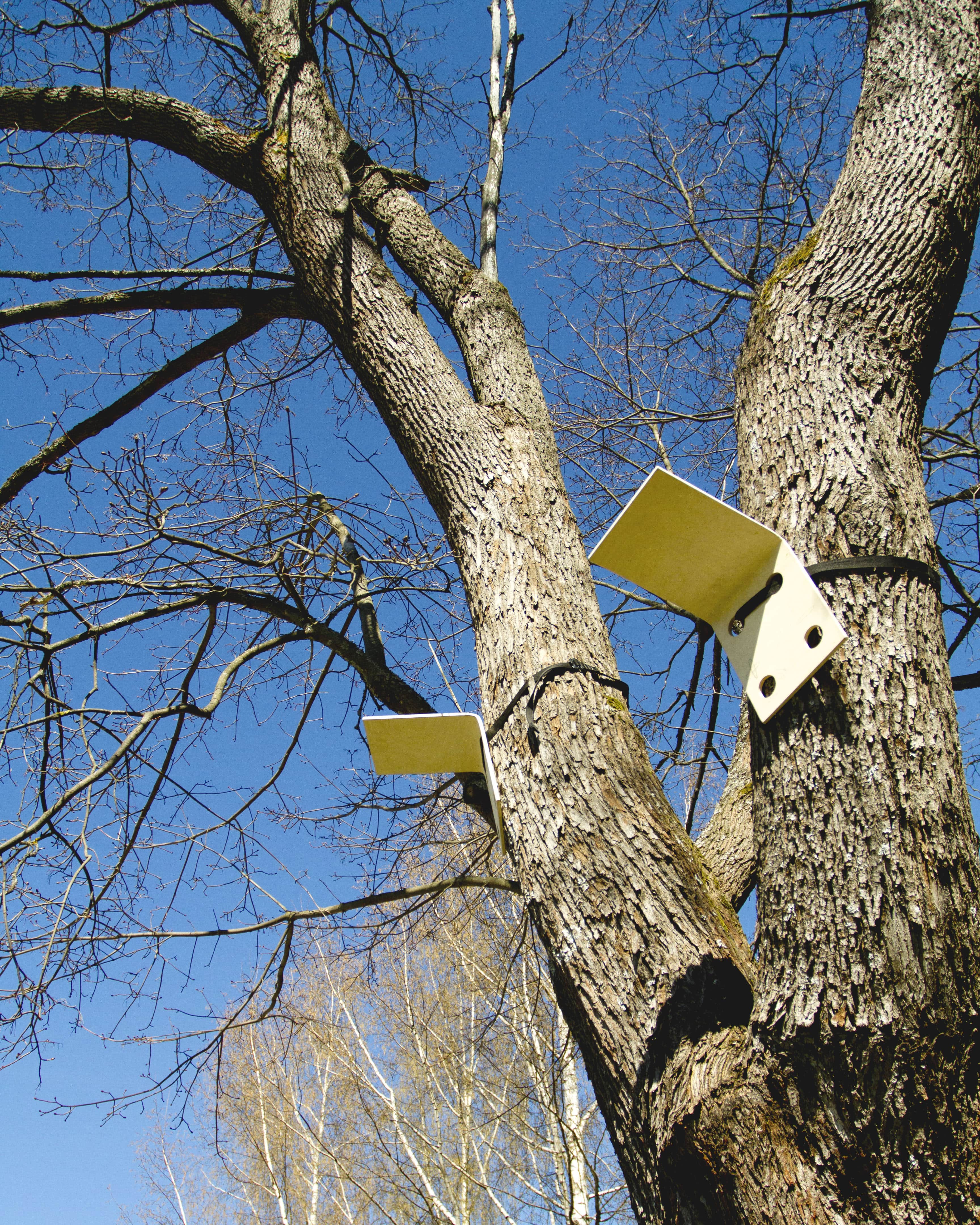 Testing Kiki mock-ups