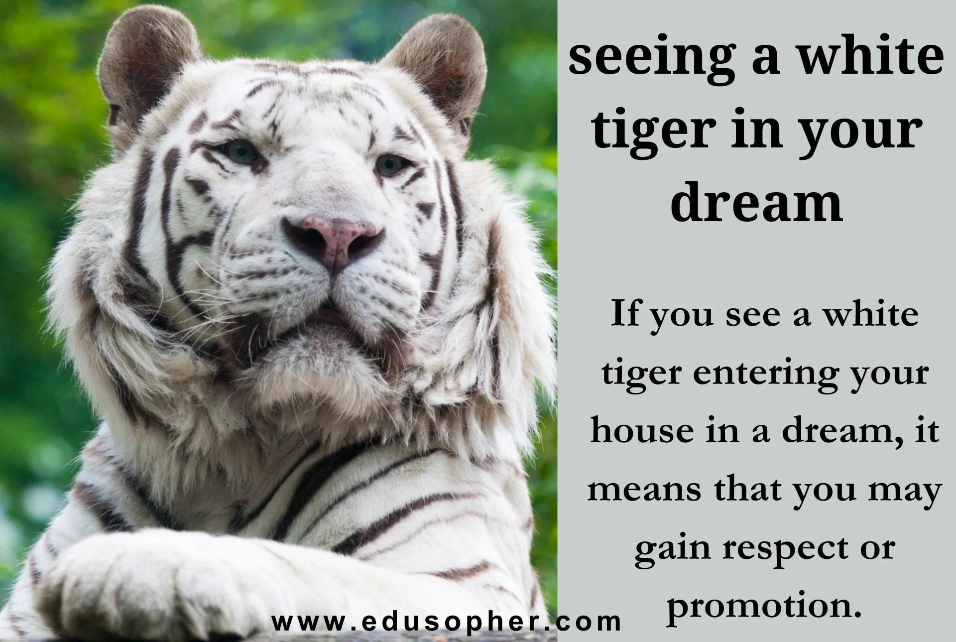 Tiger Dream Interpretation Understanding the Meaning and Symbolism