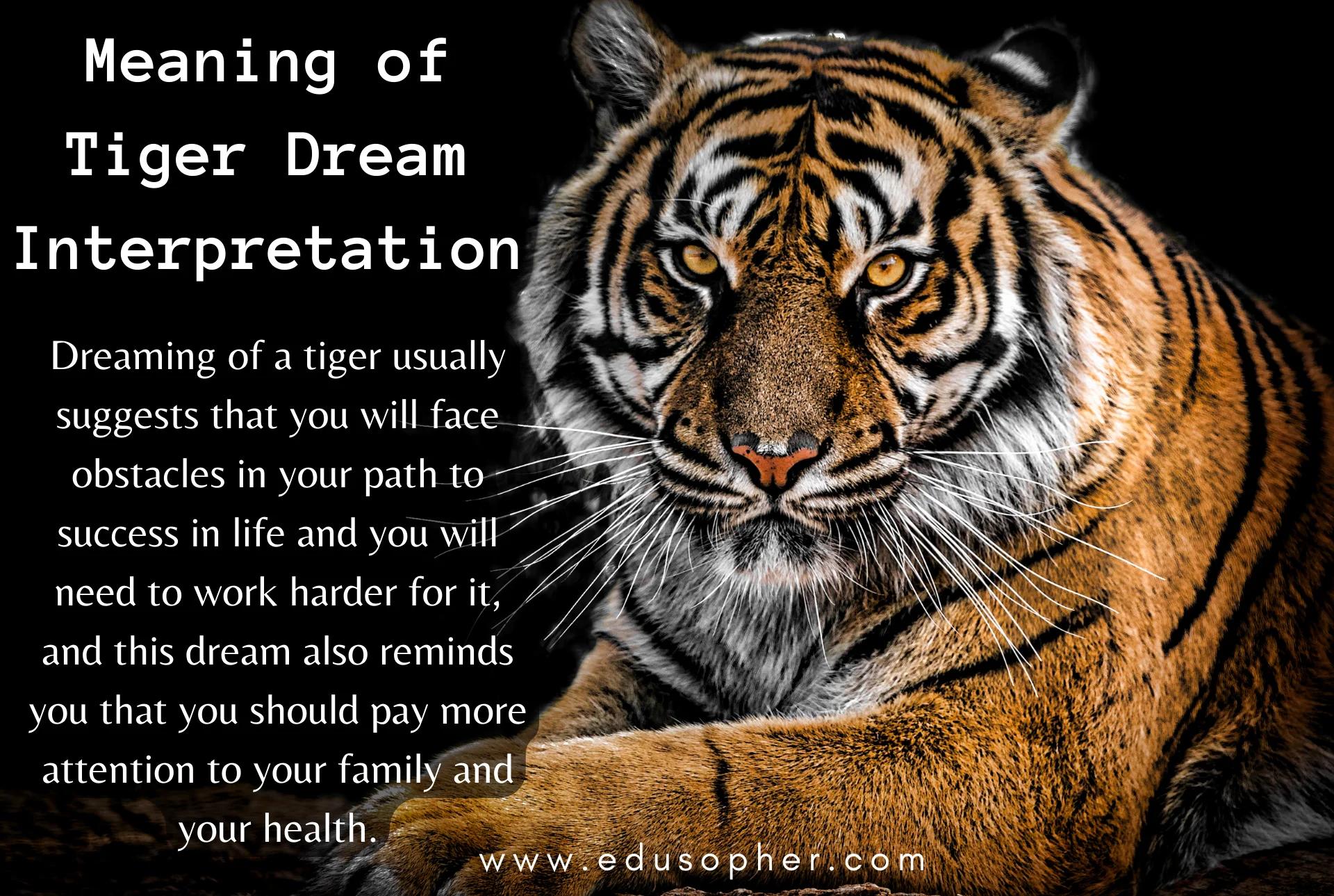 Tiger Dream Interpretation Understanding the Meaning and Symbolism