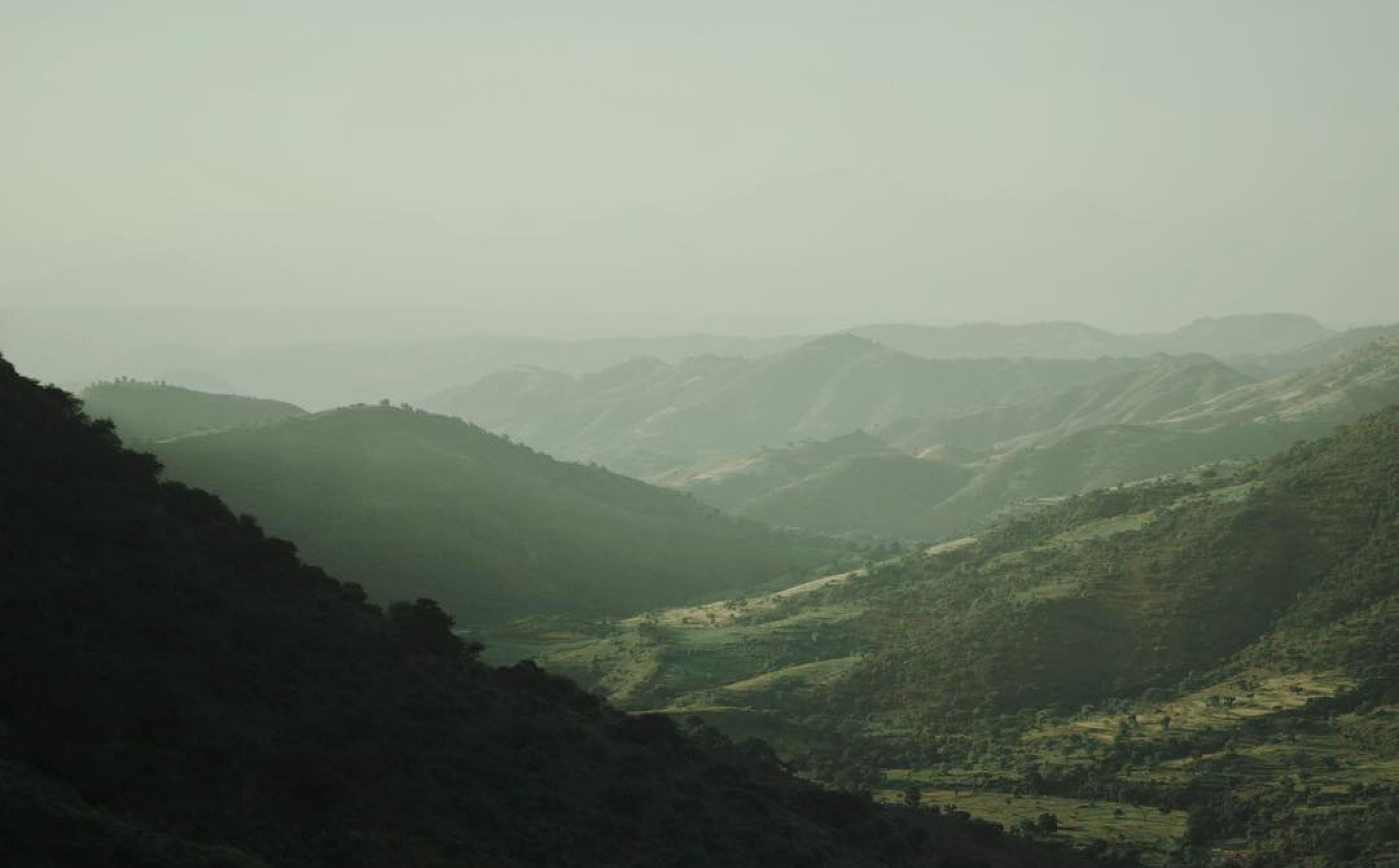 Together, we have donated $863,302.