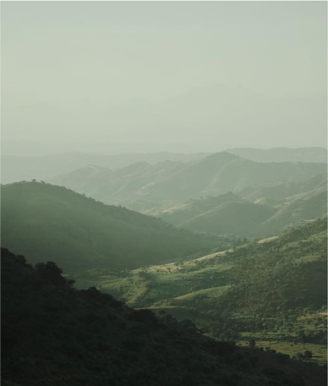 Display Image for CHNGE Carbon Neutrality