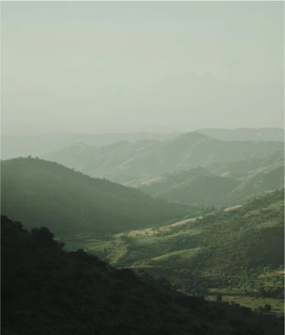 Display Image for CHNGE Carbon Neutrality