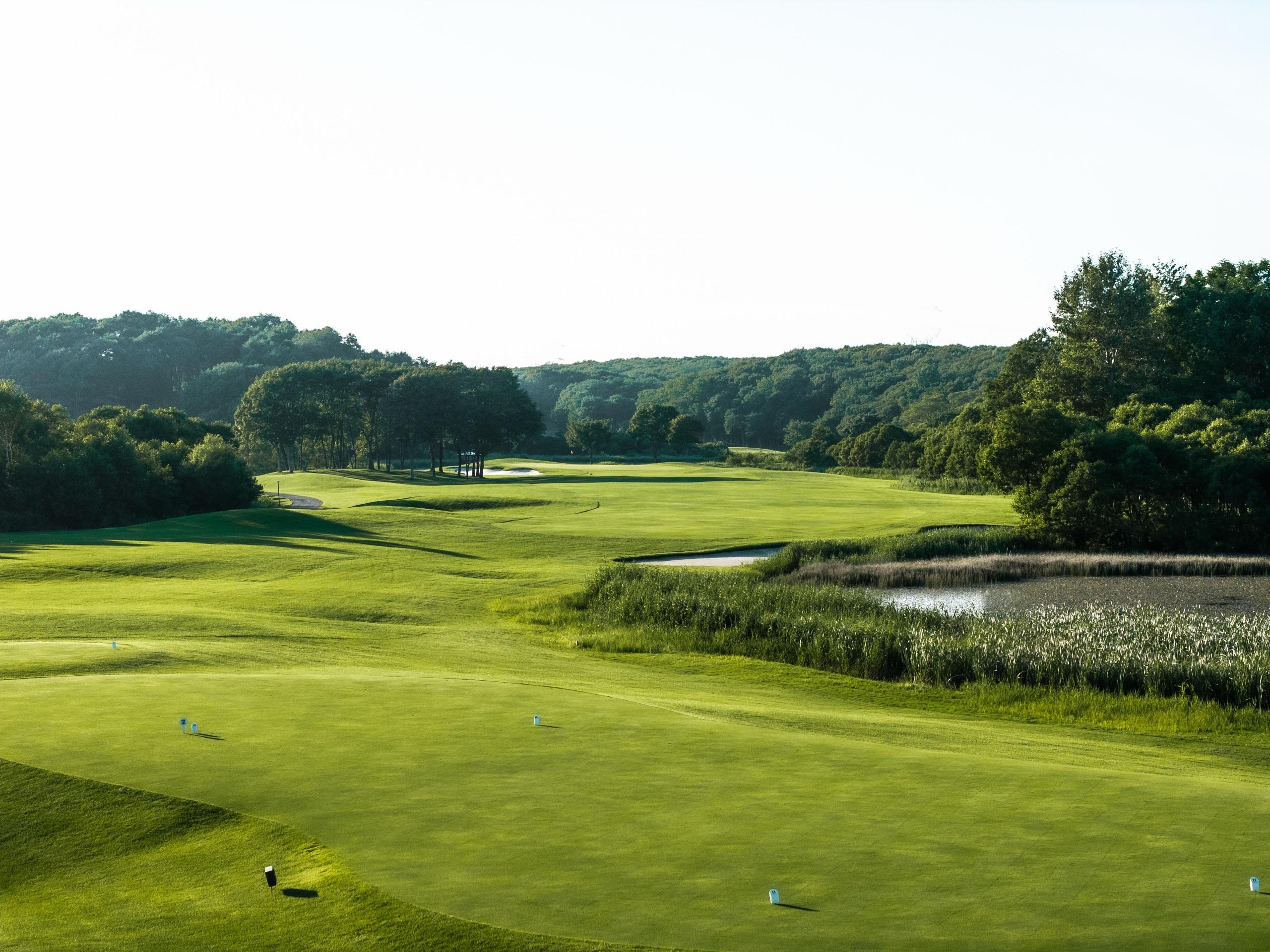 View from the tee across a fairway bordered by native grasses and a pond on the right