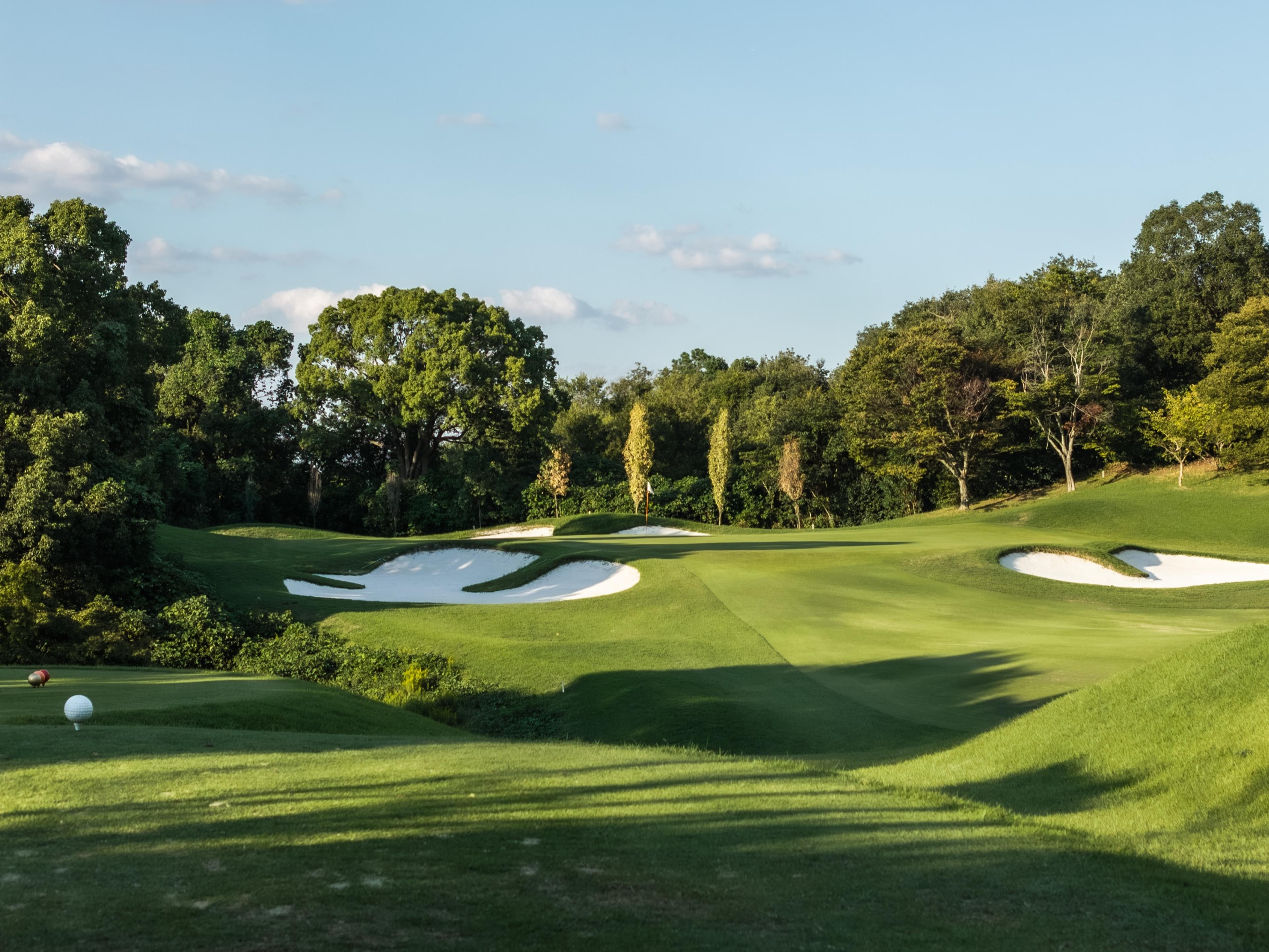 View from the tee over bunkers to the green