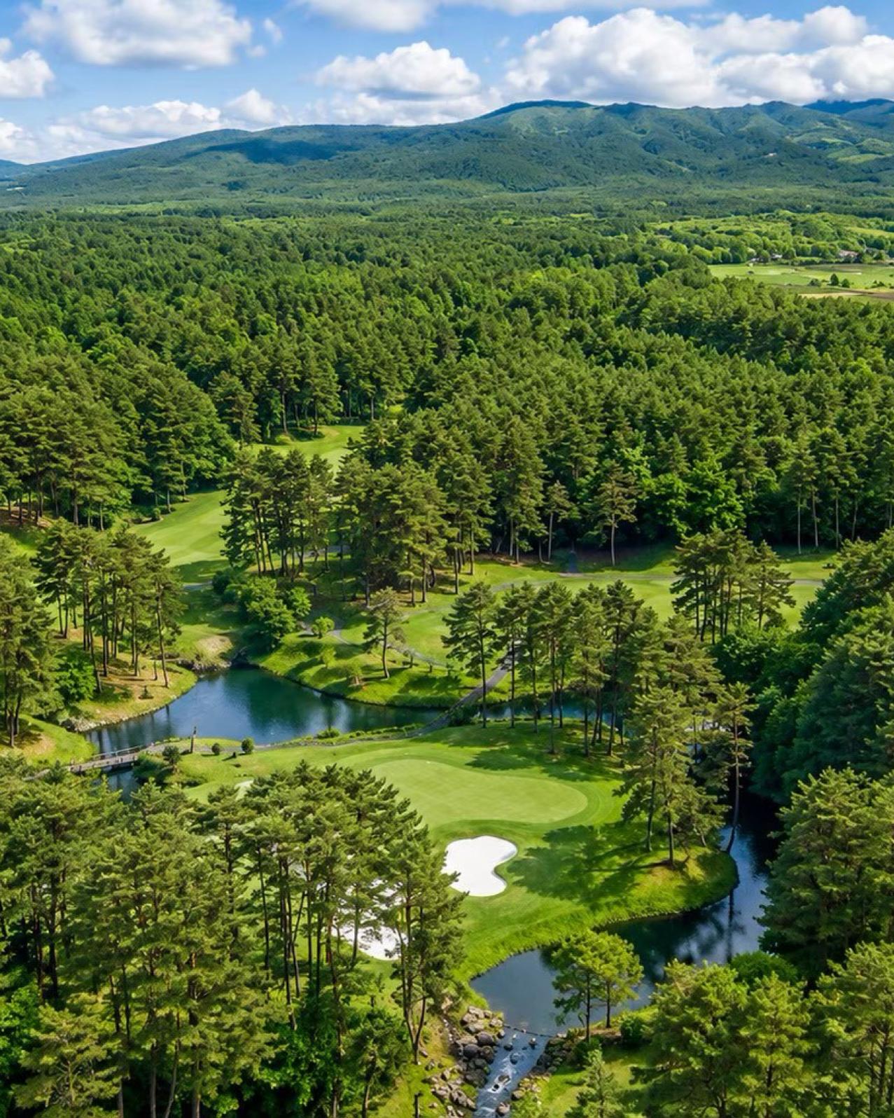 Royal Blue Golf Resort from the air, pine forest and mountains