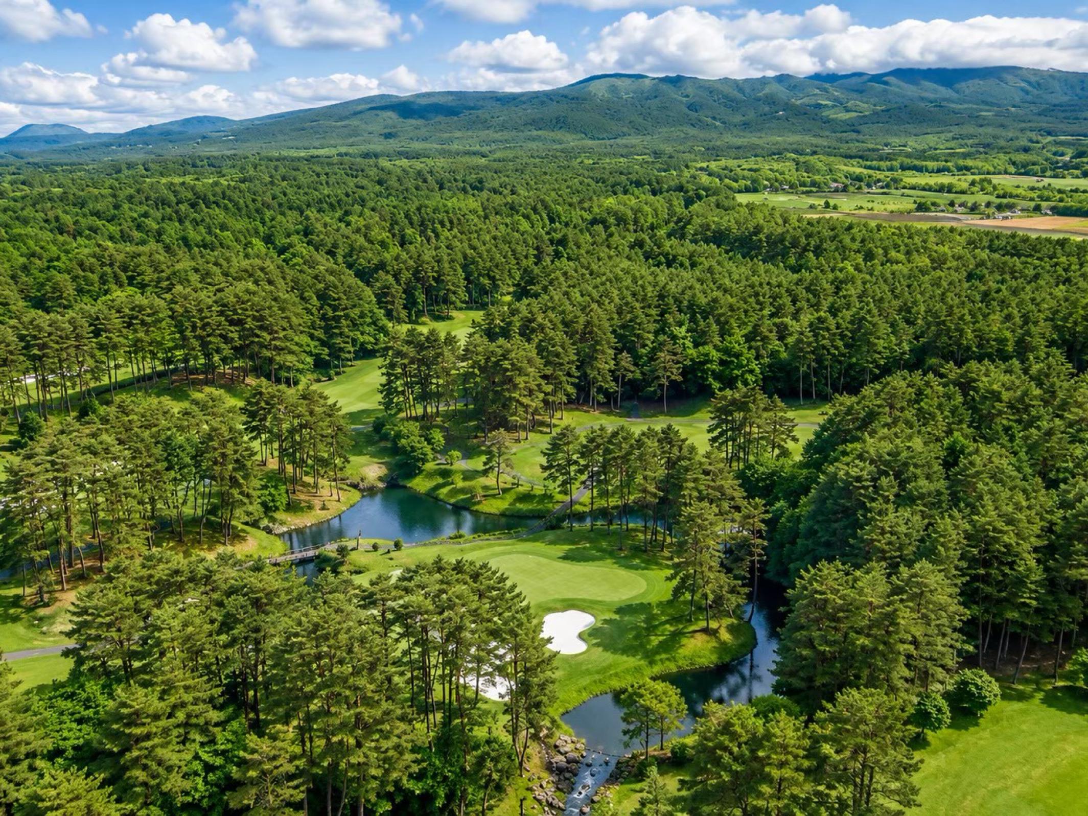 Royal Blue Golf Resort from the air, pine forest and mountains