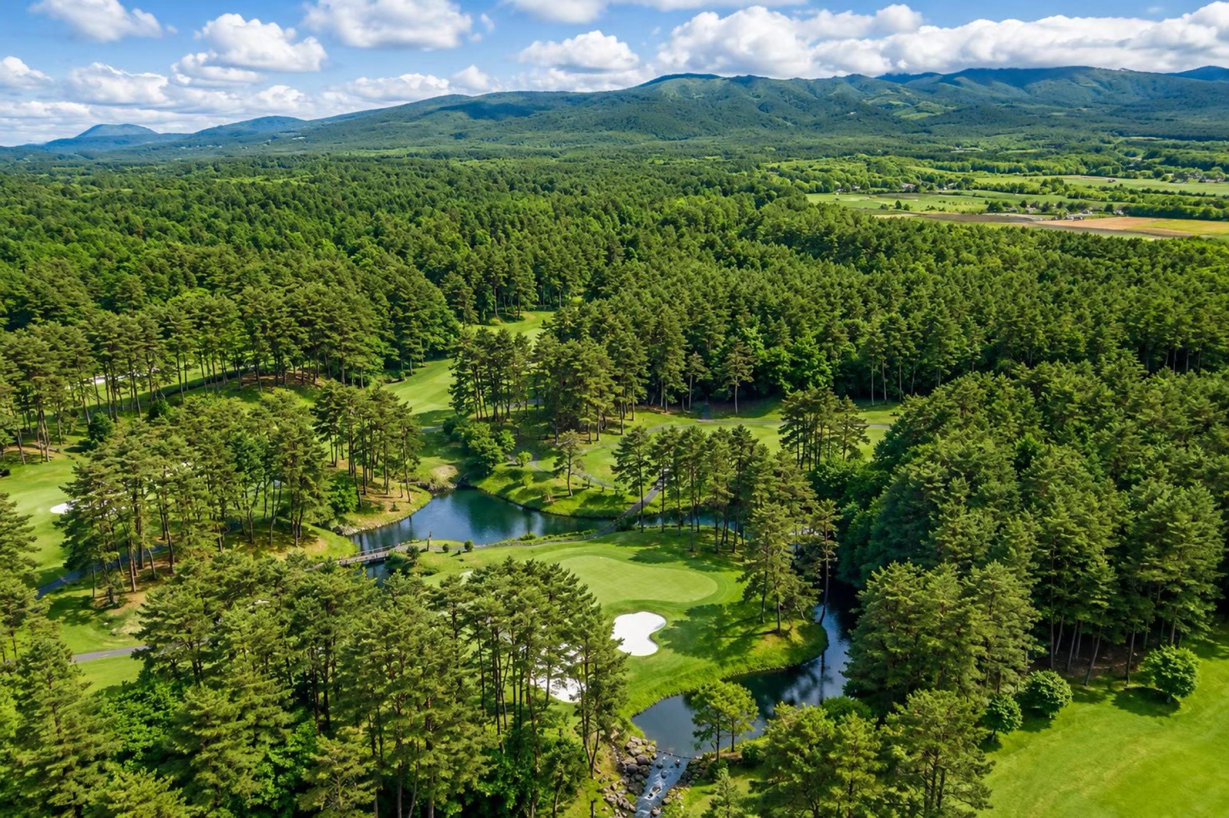 Royal Blue Golf Resort from the air, pine forest and mountains