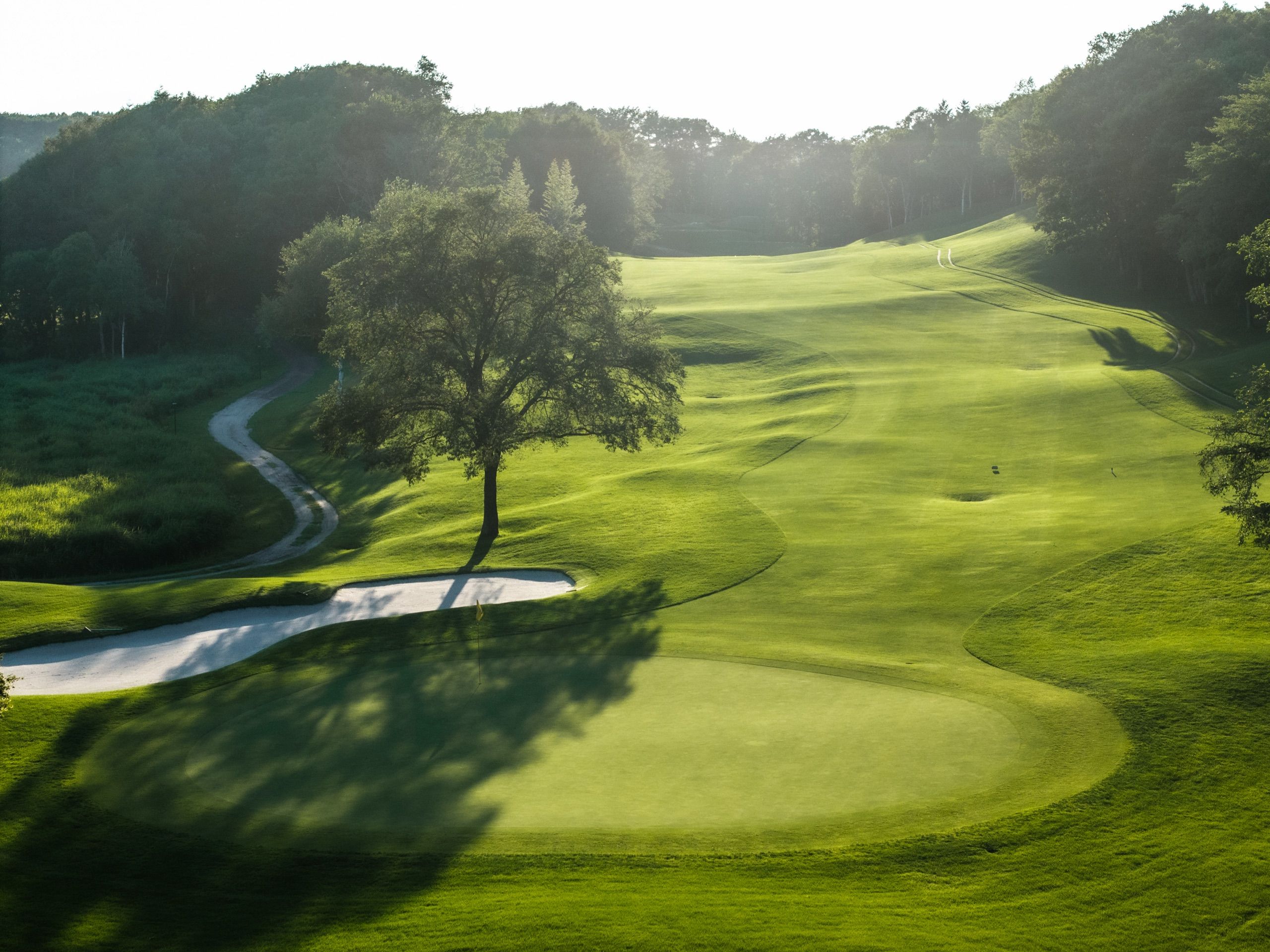 Hokkaido Brooks Country Club — the lone tree in the fairway at golden hour