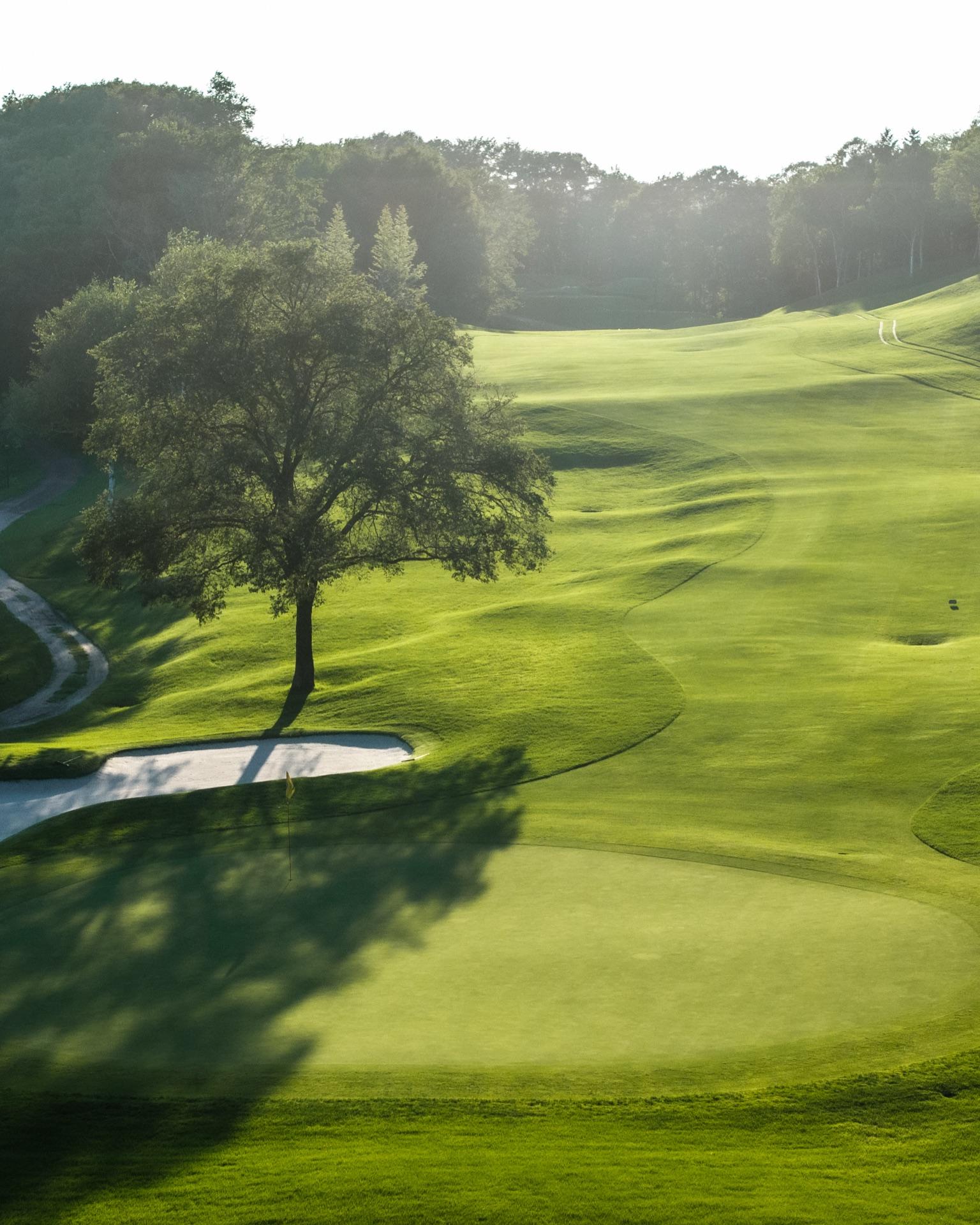 Hokkaido Brooks Country Club — the lone tree in the fairway at golden hour
