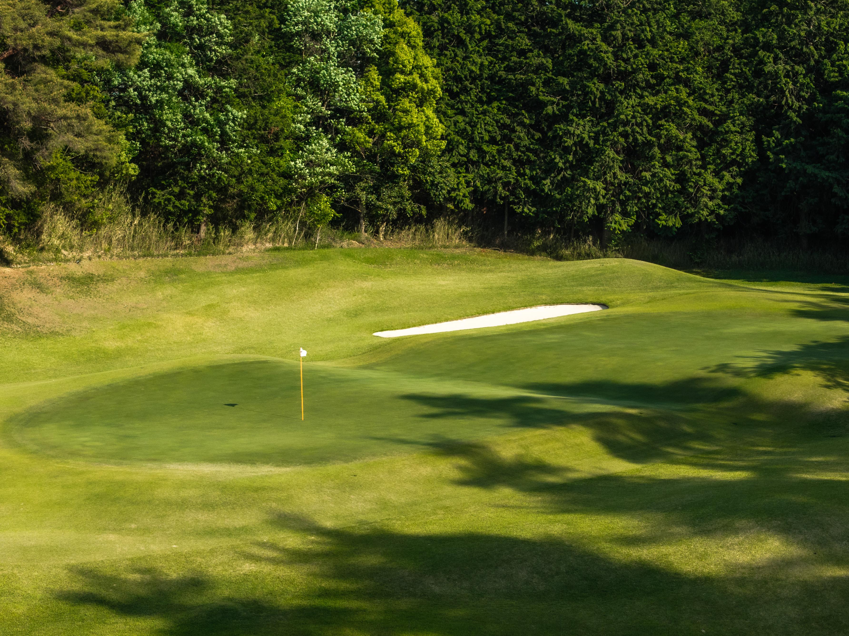Photo of Green in Meishin Yokaichi Country Club
