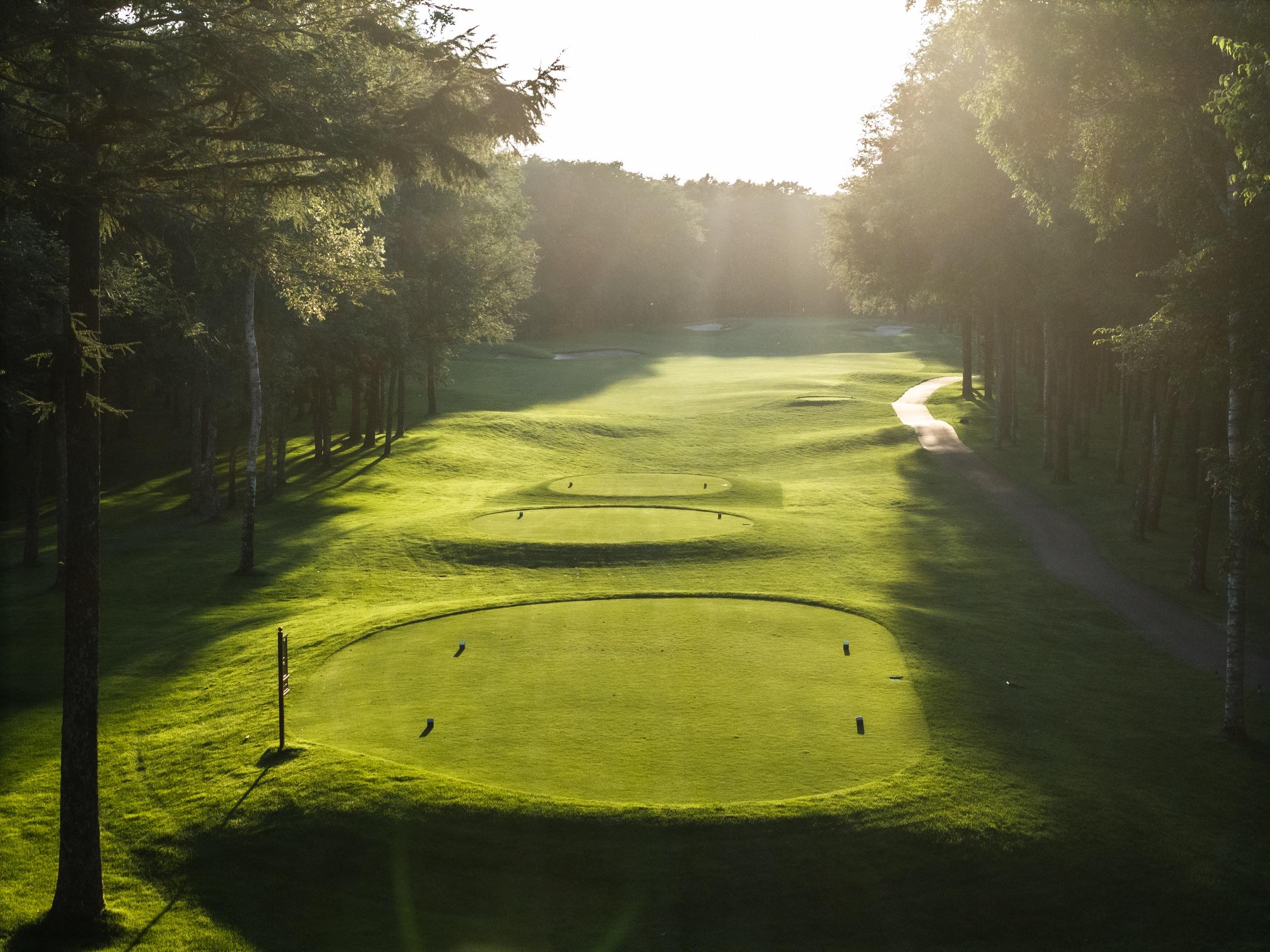 Tee boxes in golden evening light looking down a pine-framed fairway