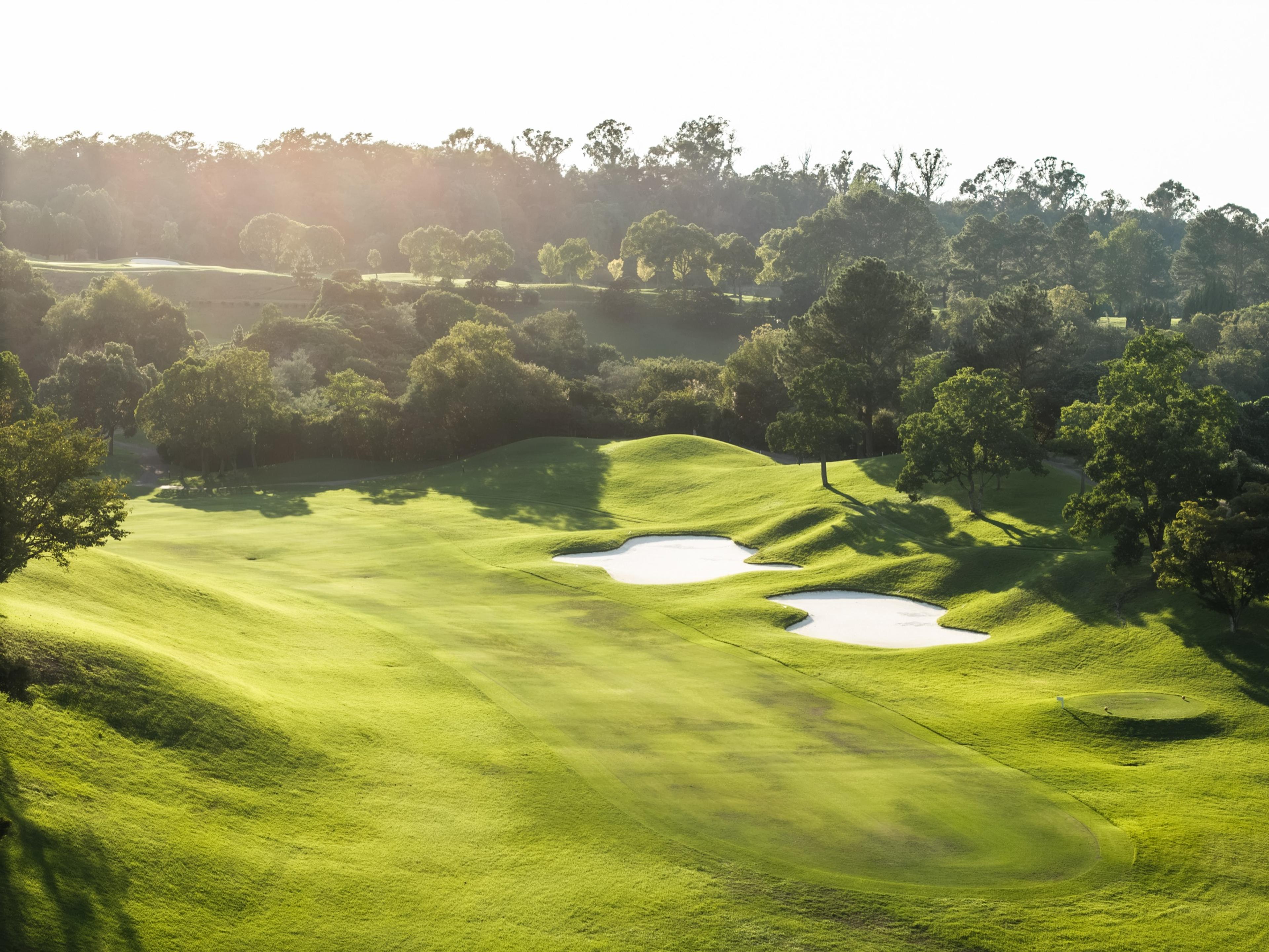 Two bunkers on a rolling fairway, sunlight through the trees