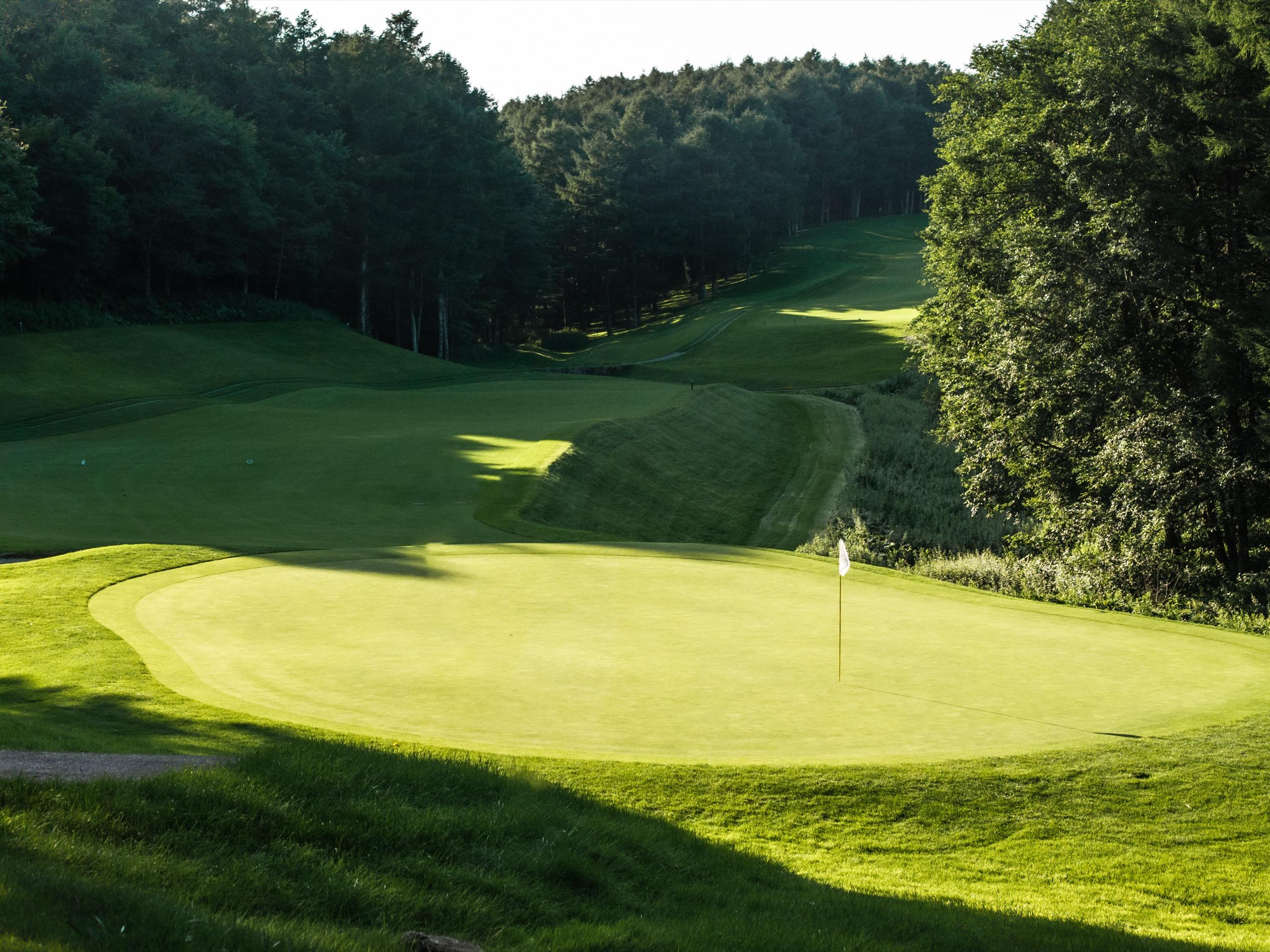 Sunlit green and white flag at the foot of a rolling tree-framed fairway