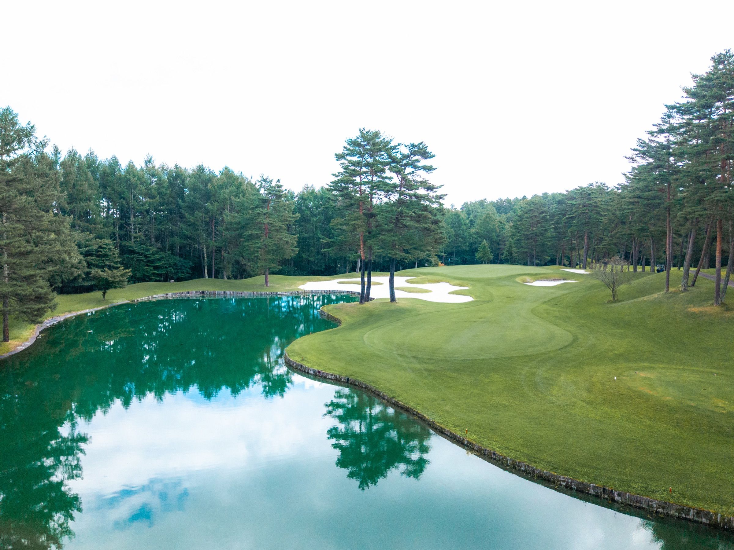 Fairway beside a pond lined with pines