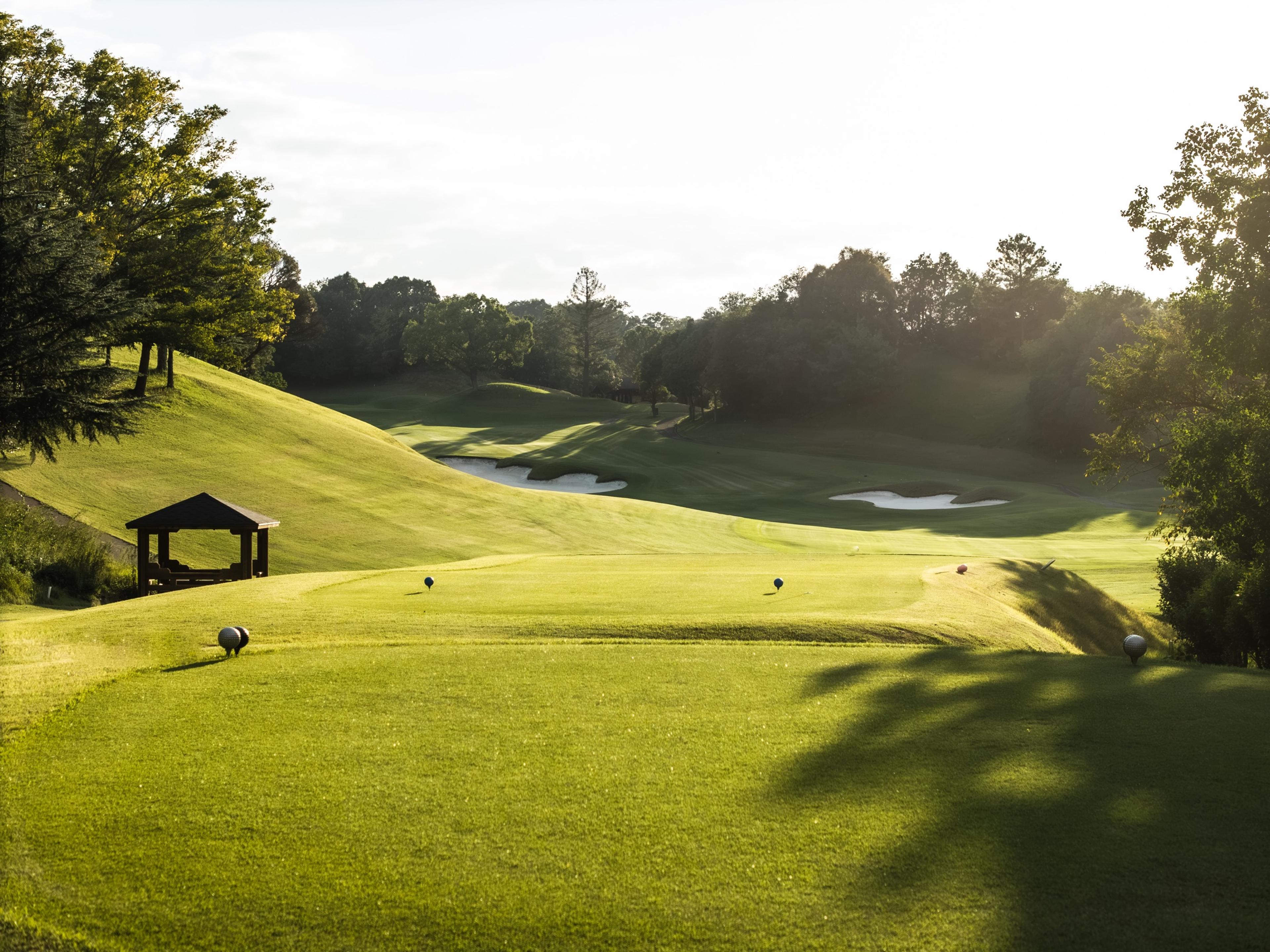 A tee with a shelter and the hole beyond