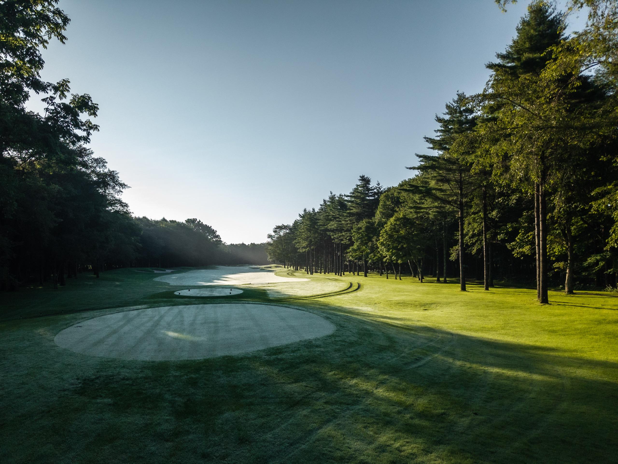 Dew-covered green in first light on a fairway lined with tall pines