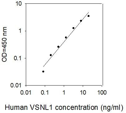Standard curve image