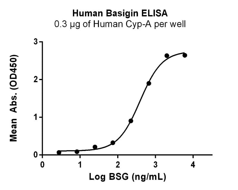 Activity Image