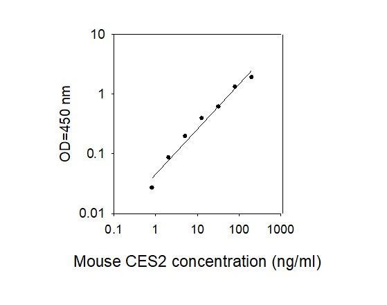 Standard Curve