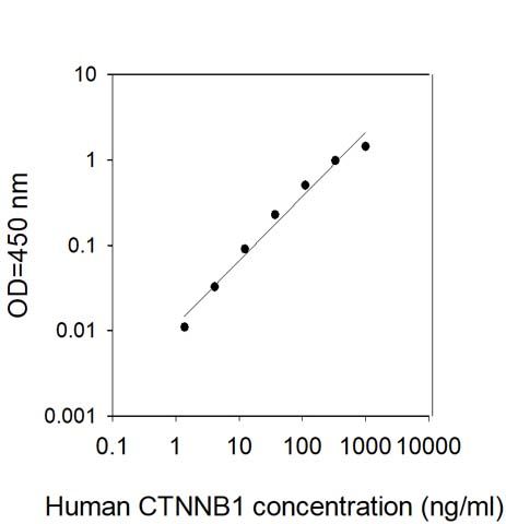 Standard Curve