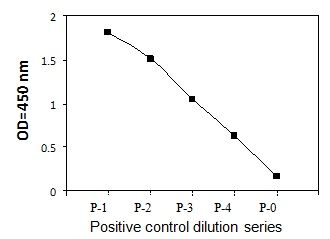 PEL-PDGFRA-Y Positive Control