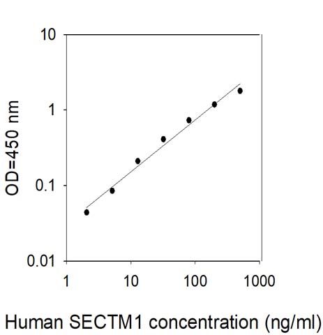 Standard Curve