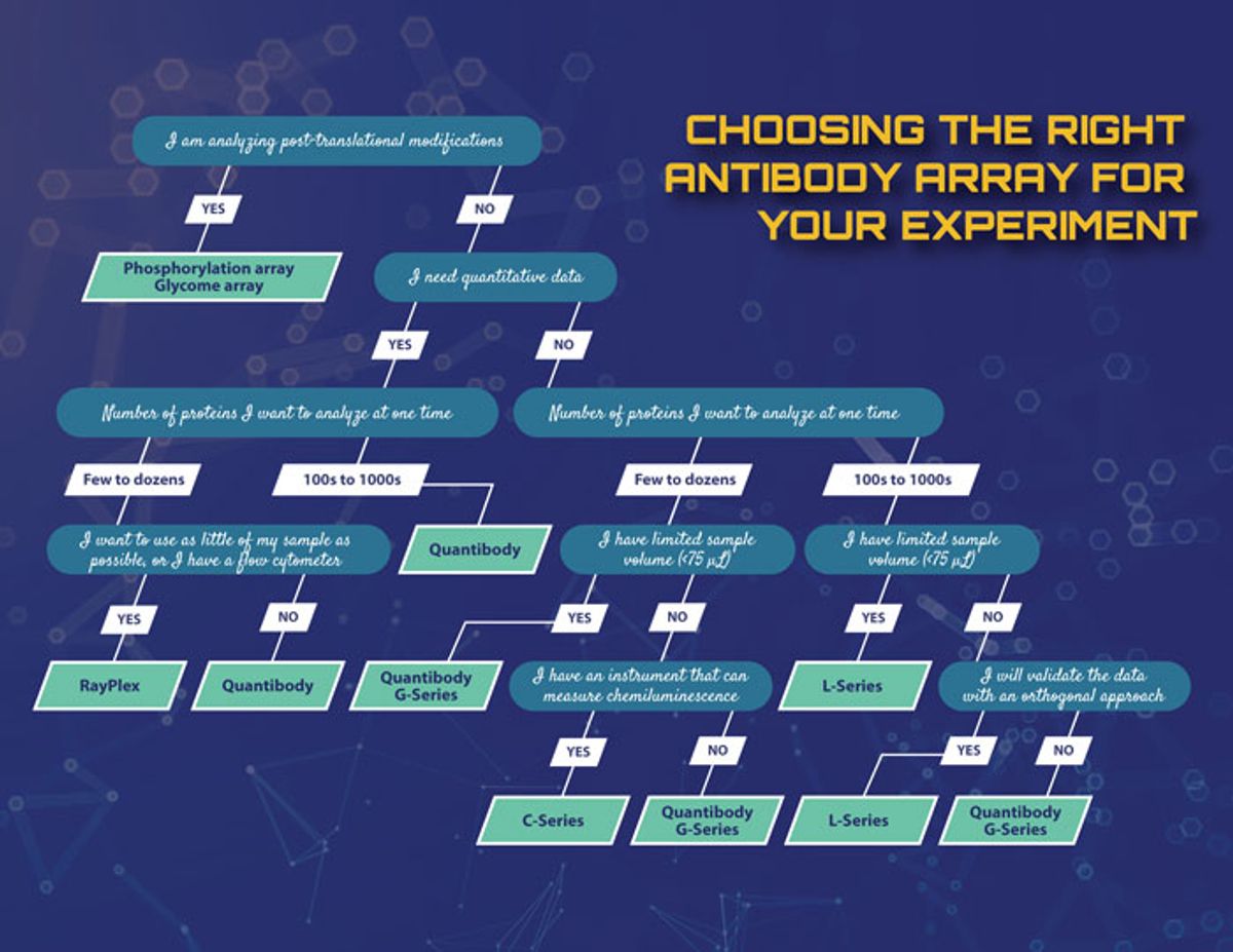 Array decision tree