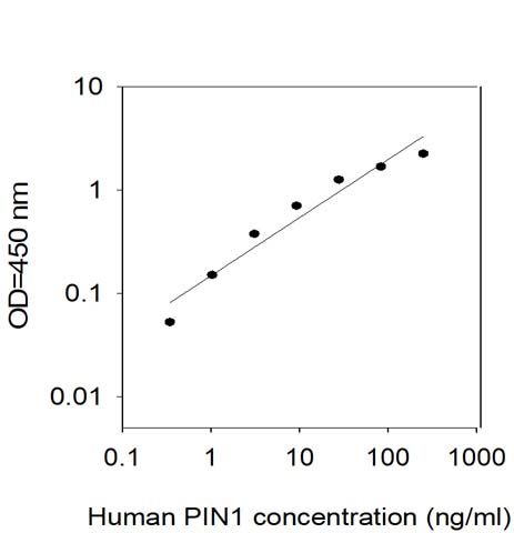 Standard Curve