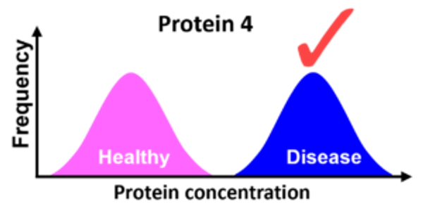 t-test Figure 4 — Protein 4 histogram