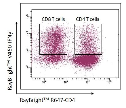 One million mouse splenocytes were activated by Ionomycin (25 ng/ml) and PMA (1 µg/ml) for 5 hours in culture and stained with 0.25 µg RayBright® R647 anti-mouse CD4 and 0.5 µg RayBright® V450 anti-mouse IFNg in 50 µl Cell Permeabilization Buffer.