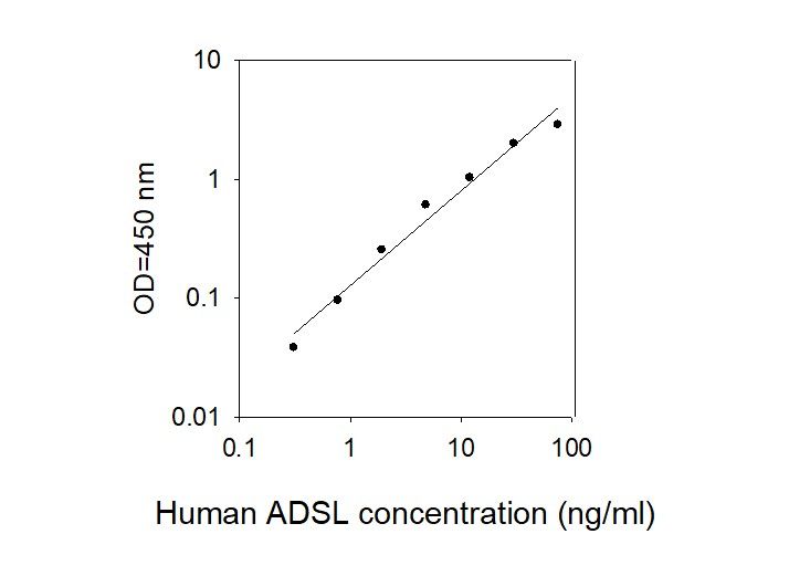 Standard Curve