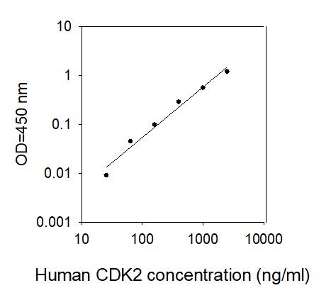 Standard Curve