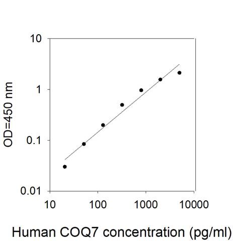 Standard Curve