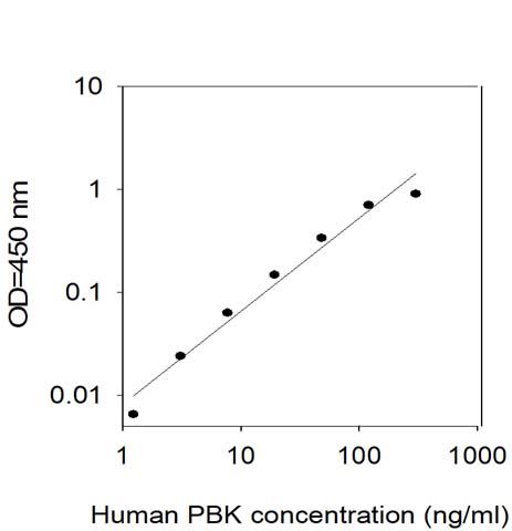 Standard Curve