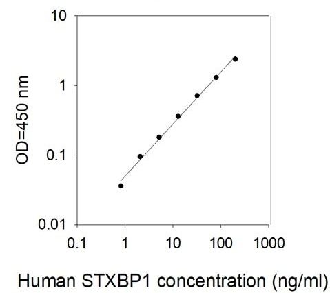 Standard Curve