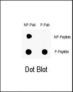 DB