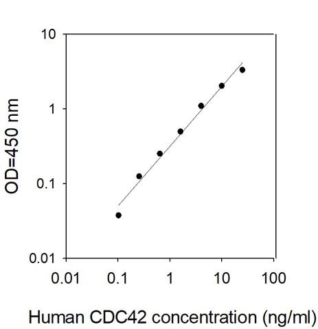 Standard Curve