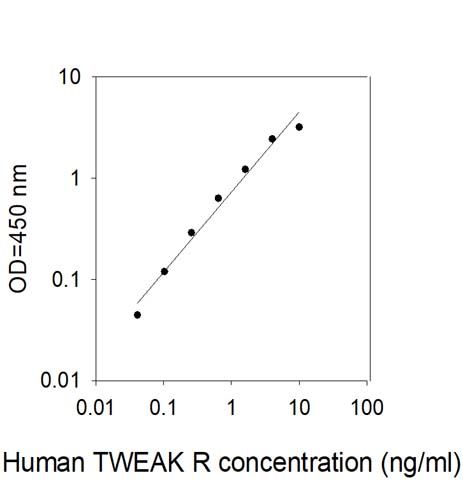 Standard Curve